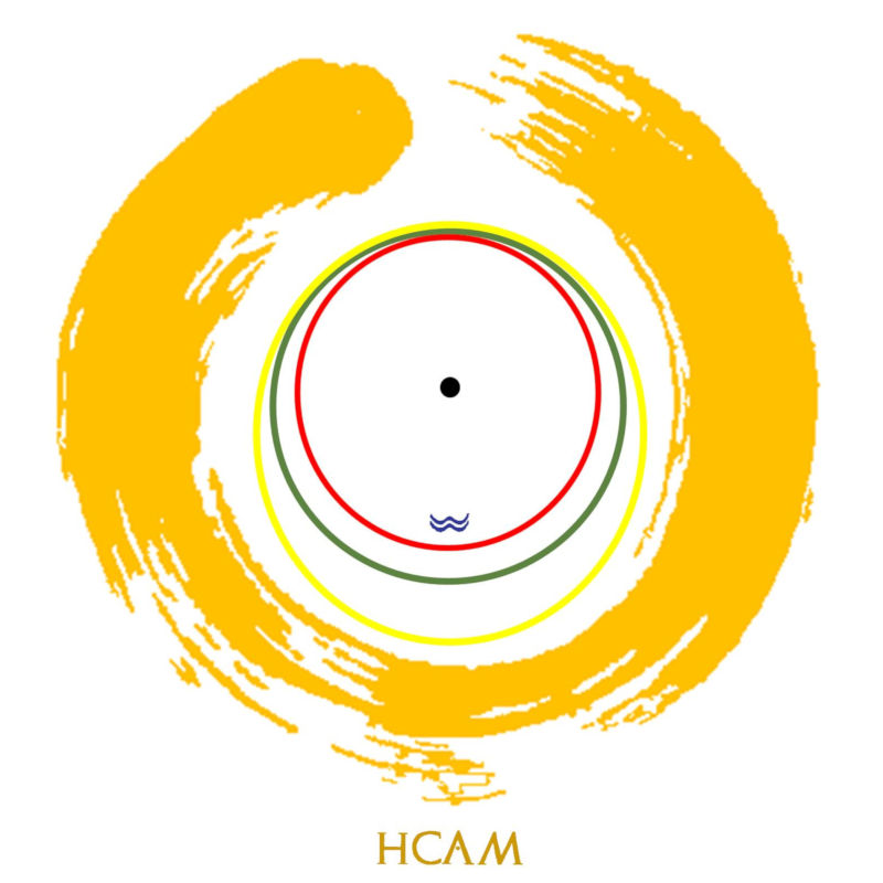 Logo-HCAM